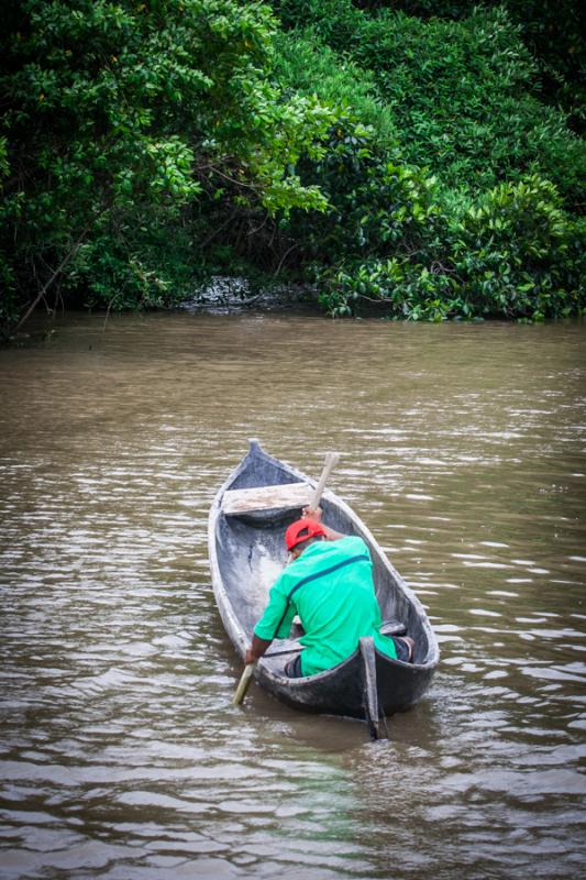 Hombre Remando, Rio Necocli, Antioquia, Colombia, ...