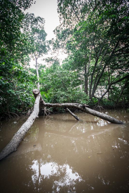 Rio Necocli, Antioquia, Colombia, Sur America