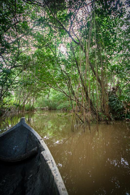 Rio Necocli, Antioquia, Colombia, Sur America