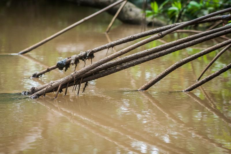 Rio Necocli, Antioquia, Colombia, Sur America