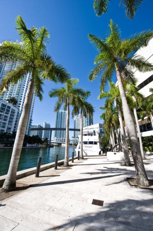 Downtown, Miami, Florida, Estados Unidos, America ...