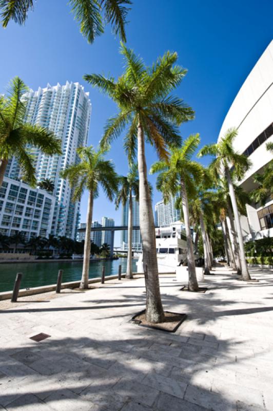 Downtown, Miami, Florida, Estados Unidos, America ...