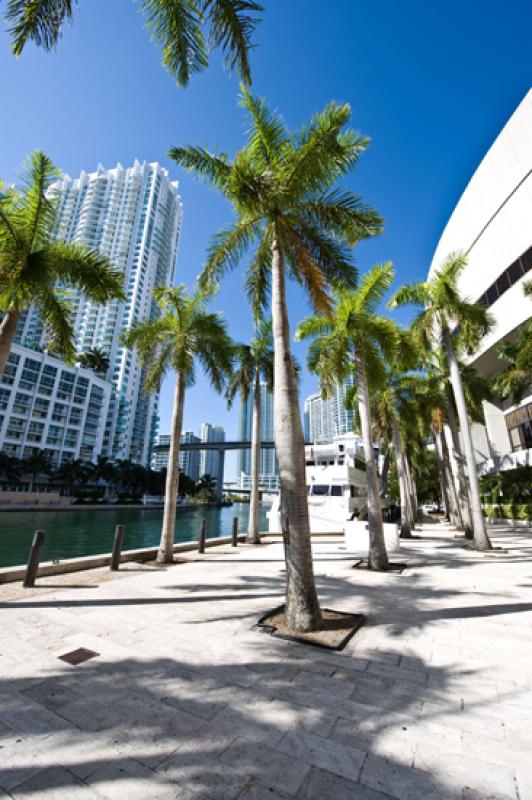 Downtown, Miami, Florida, Estados Unidos, America ...