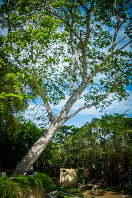 Parque Ronda del Sinu, Monteria, Cordoba, Colombia