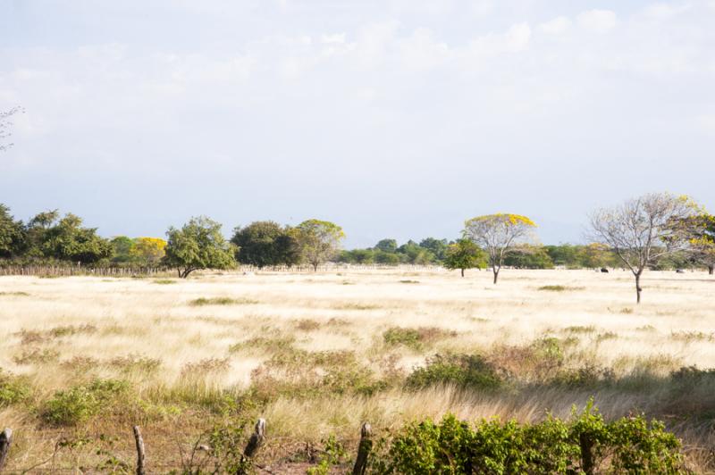 Paisaje de Valledupar, Cesar, Colombia