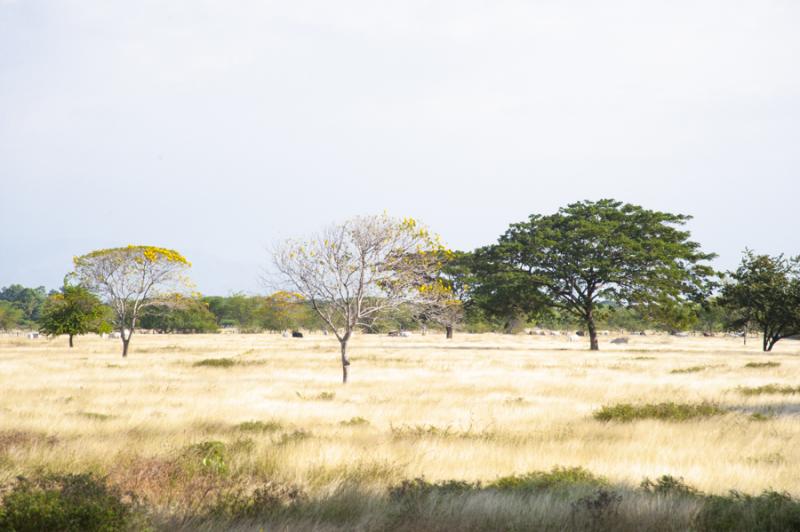 Paisaje de Valledupar, Cesar, Colombia