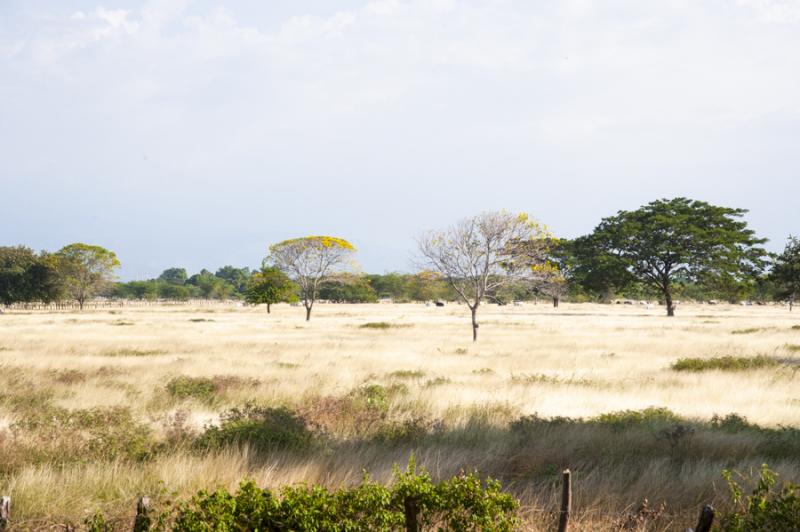 Paisaje de Valledupar, Cesar, Colombia