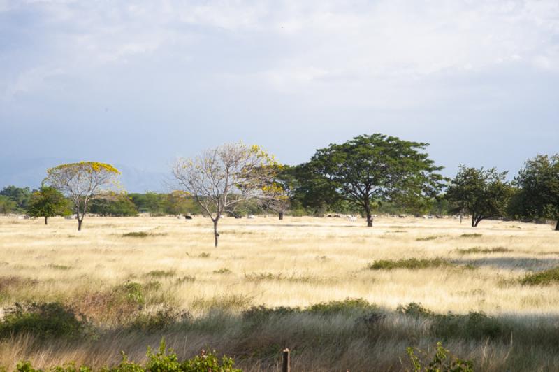 Paisaje de Valledupar, Cesar, Colombia