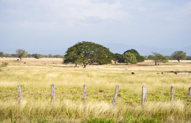 Paisaje de Valledupar, Cesar, Colombia