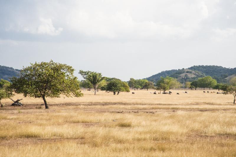 Paisaje de Valledupar, Cesar, Colombia