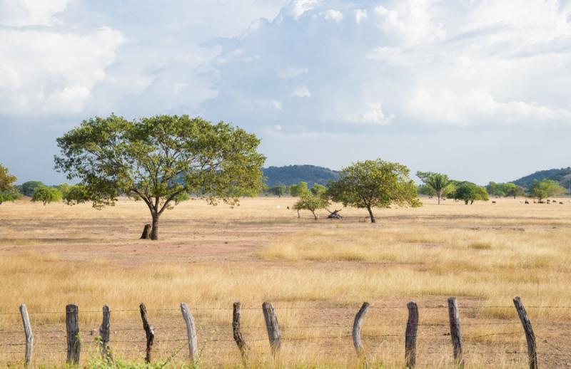 Paisaje de Valledupar, Cesar, Colombia