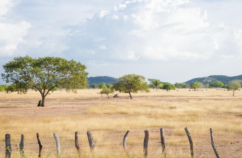 Paisaje de Valledupar, Cesar, Colombia