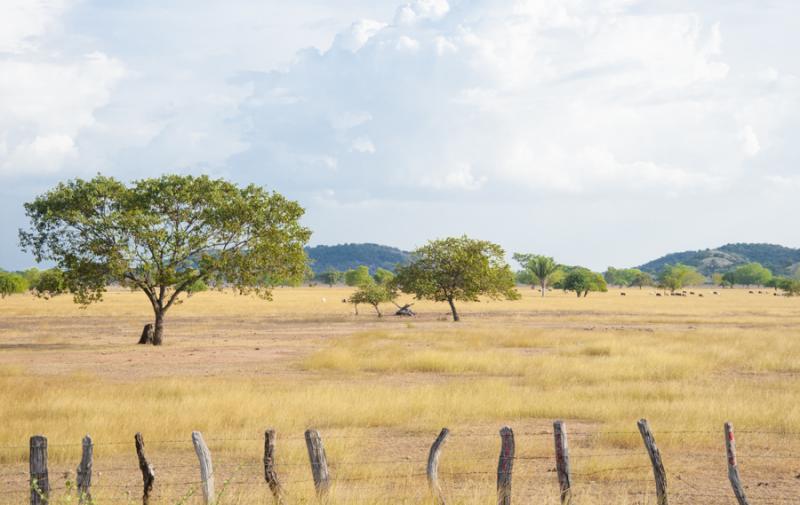 Paisaje de Valledupar, Cesar, Colombia