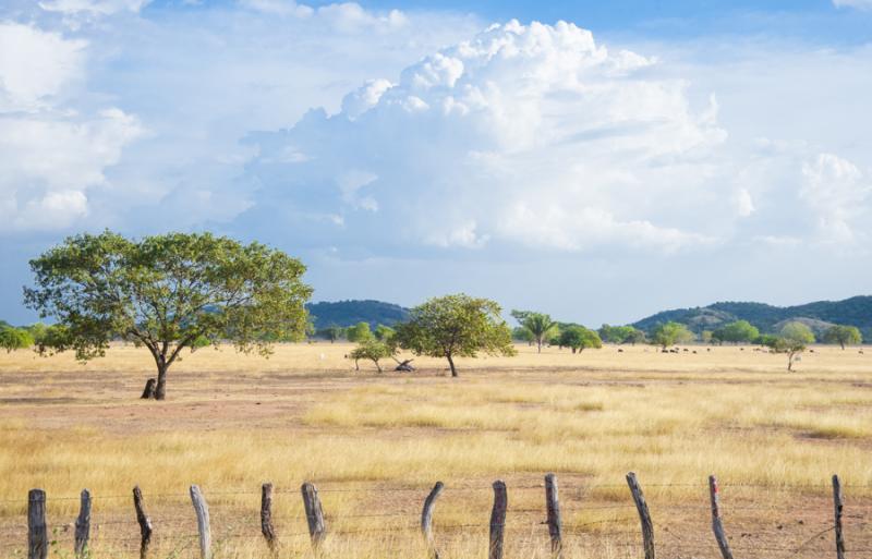 Paisaje de Valledupar, Cesar, Colombia