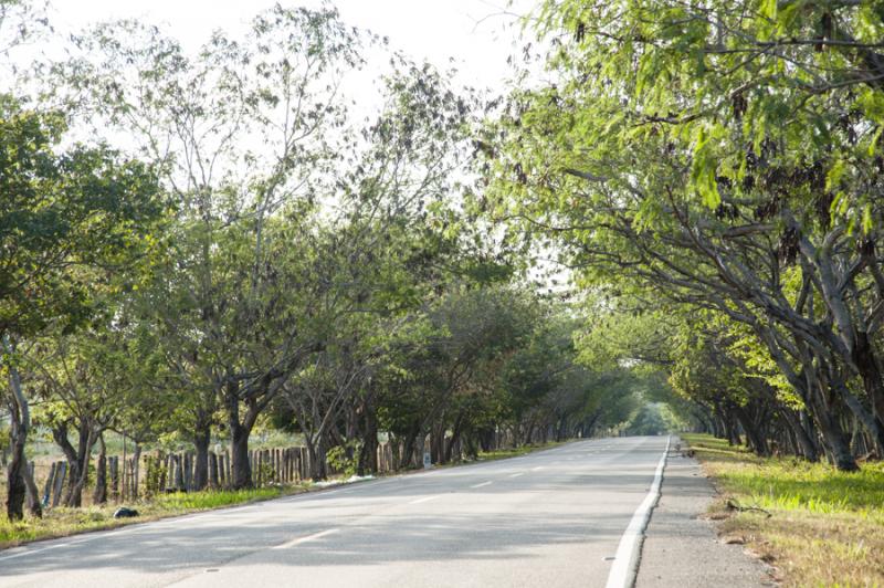 Carretera de Valledupar, Cesar, Colombia