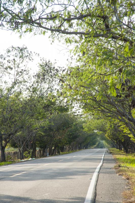 Carretera de Valledupar, Cesar, Colombia