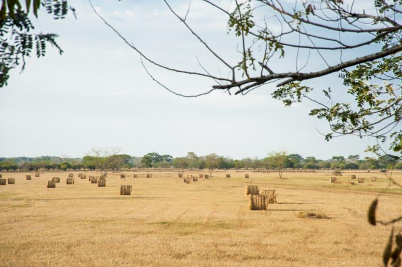 Campo de Heno, Valledupar, Cesar, Colombia