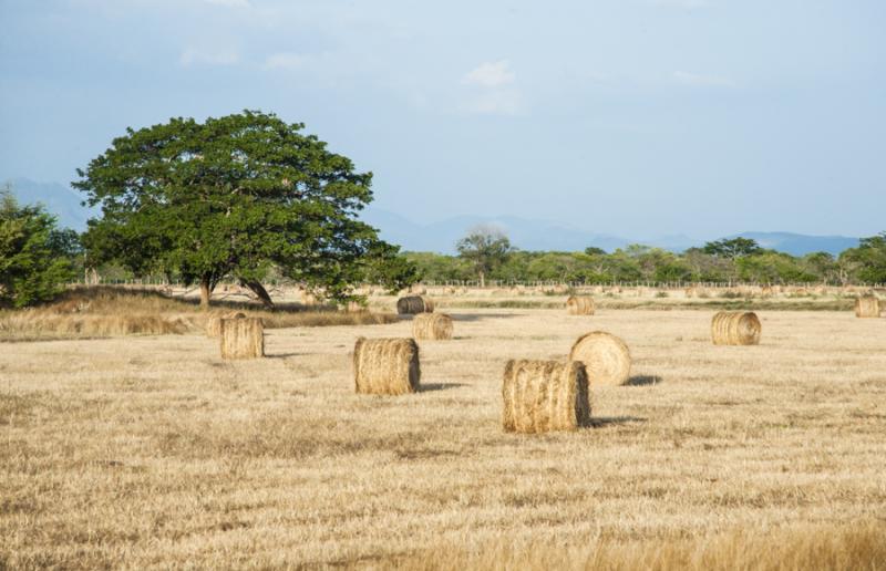 Campo de Heno, Valledupar, Cesar, Colombia