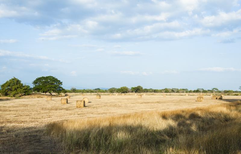 Campo de Heno, Valledupar, Cesar, Colombia