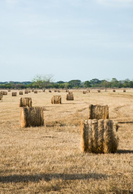 Campo de Heno, Valledupar, Cesar, Colombia