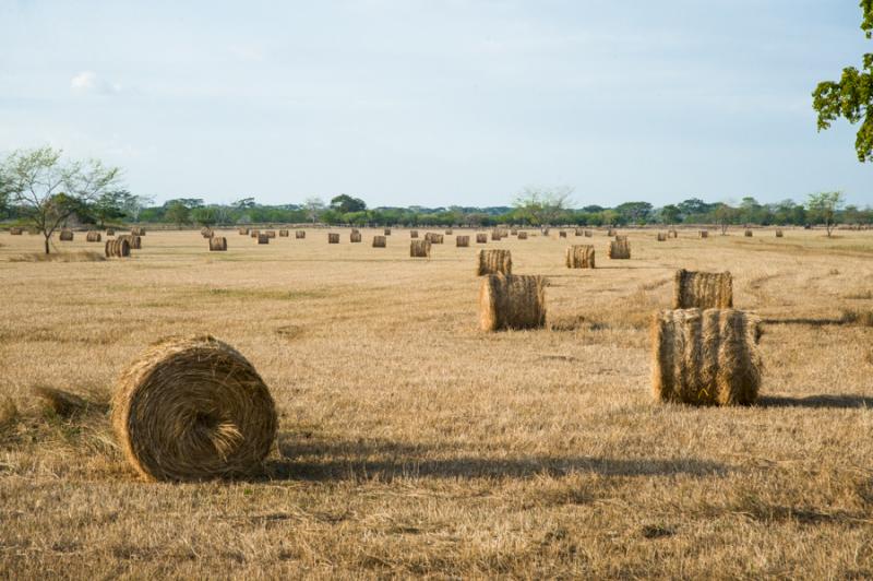 Campo de Heno, Valledupar, Cesar, Colombia