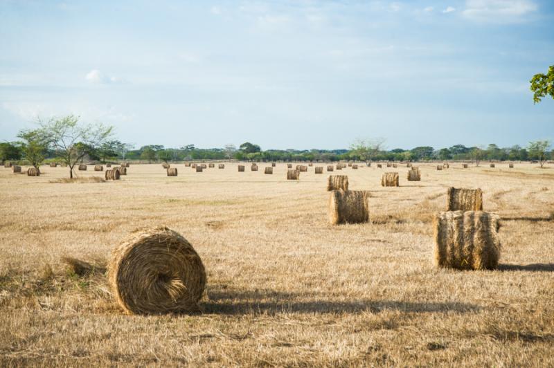 Campo de Heno, Valledupar, Cesar, Colombia