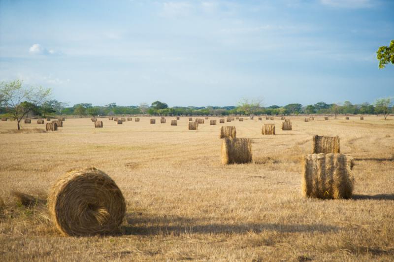 Campo de Heno, Valledupar, Cesar, Colombia