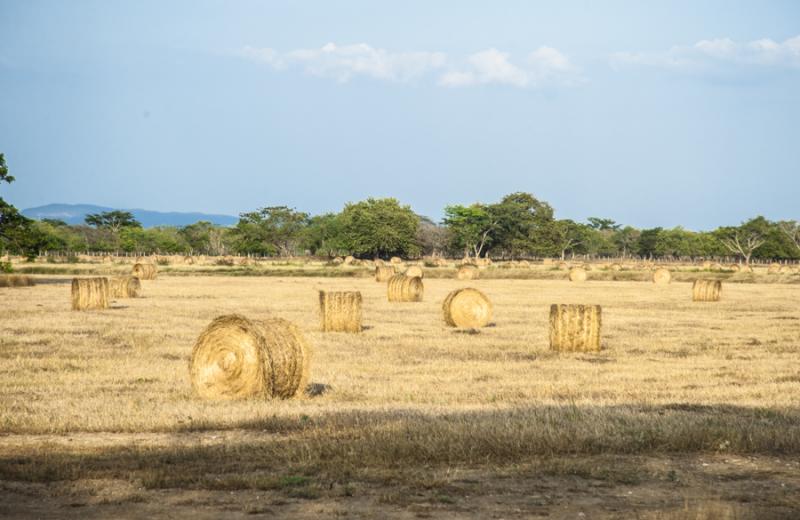 Campo de Heno, Valledupar, Cesar, Colombia