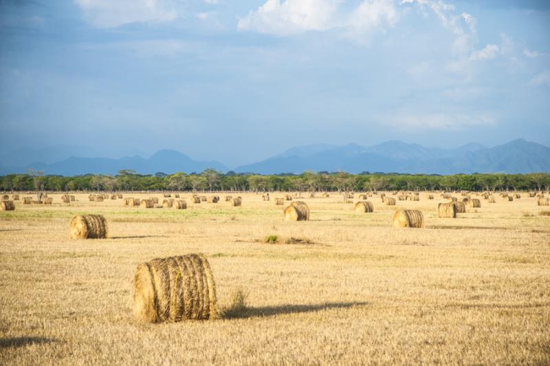 Campo de Heno, Valledupar, Cesar, Colombia