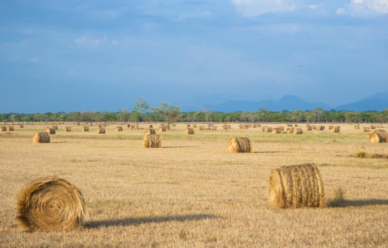 Campo de Heno, Valledupar, Cesar, Colombia