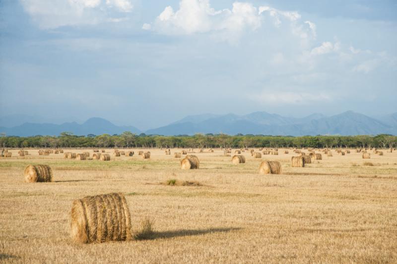 Campo de Heno, Valledupar, Cesar, Colombia