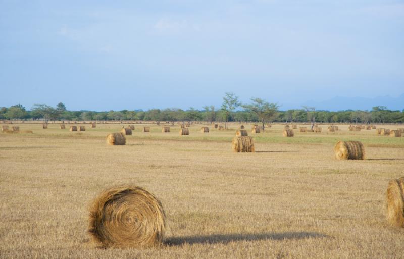 Campo de Heno, Valledupar, Cesar, Colombia