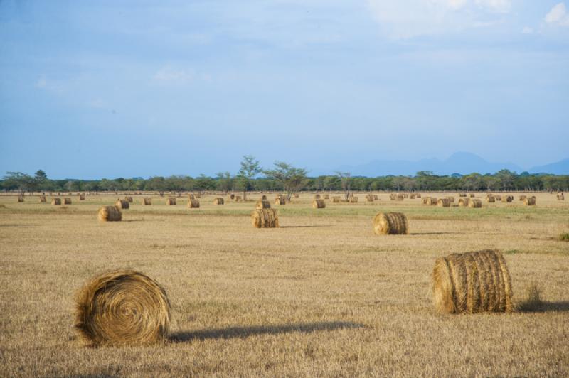 Campo de Heno, Valledupar, Cesar, Colombia