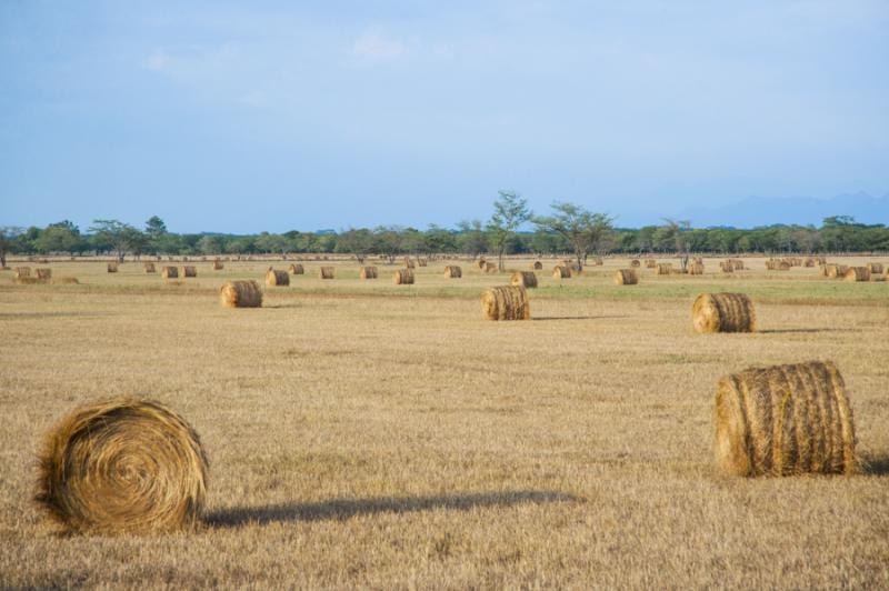 Campo de Heno, Valledupar, Cesar, Colombia