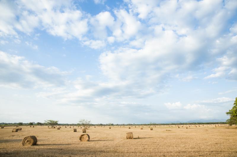 Campo de Heno, Valledupar, Cesar, Colombia