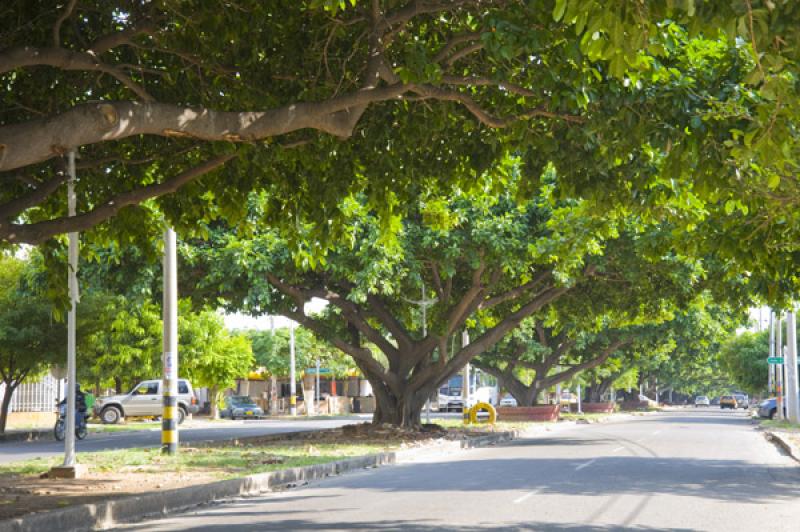 Avenida Simon Bolivar, Valledupar, Cesar, Colombia