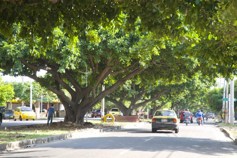 Avenida Simon Bolivar, Valledupar, Cesar, Colombia