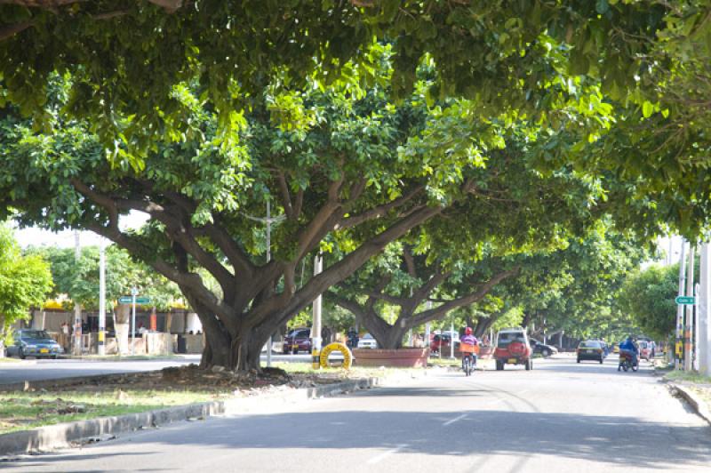 Avenida Simon Bolivar, Valledupar, Cesar, Colombia