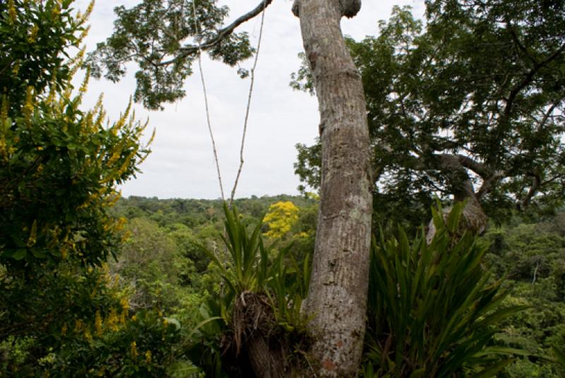 Amazonas, Leticia, Colombia