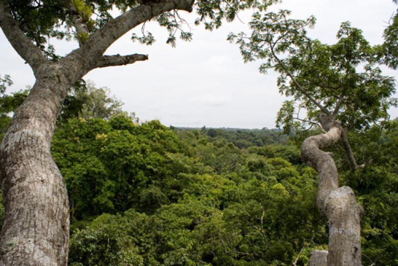 Amazonas, Leticia, Colombia