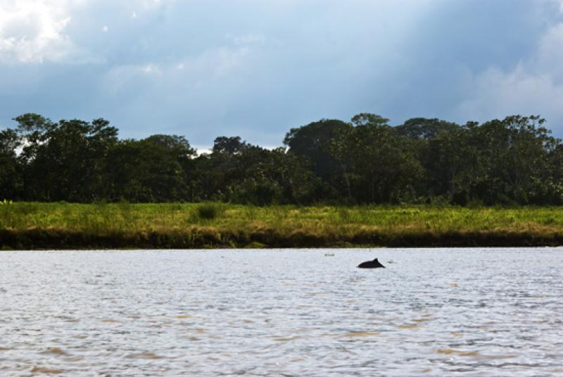 Rio Amazonas, Amazonas, Leticia, Colombia