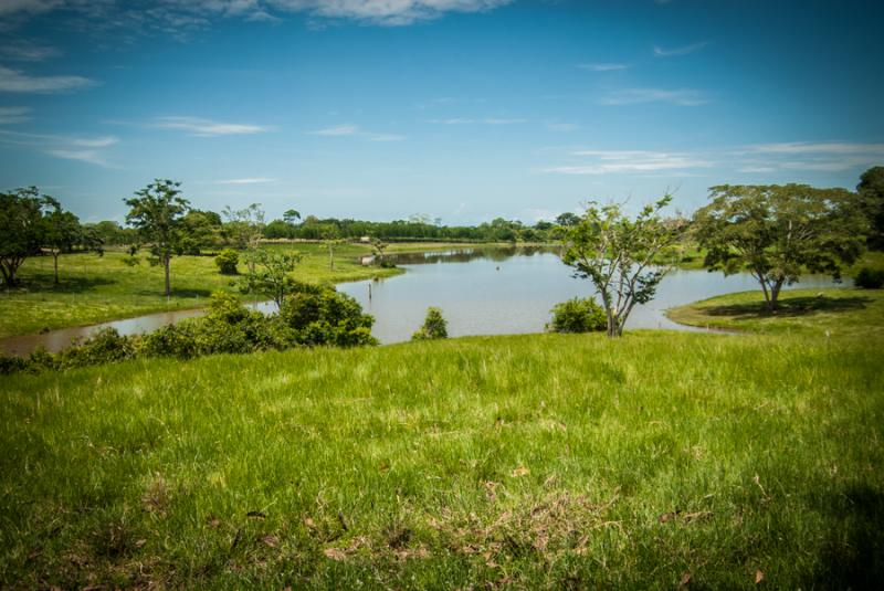 Paisaje del Zooparque de los Caimanes, Monteria, C...