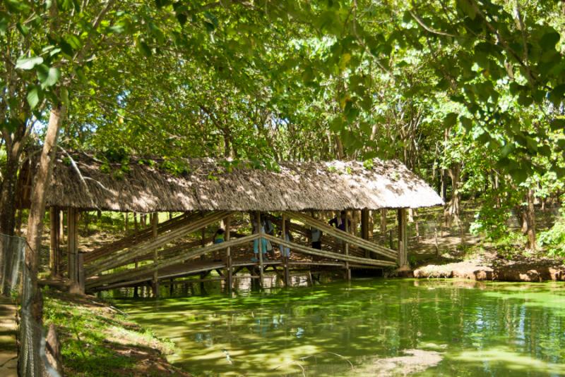 Puente en el Zooparque de los Caimanes, Monteria, ...