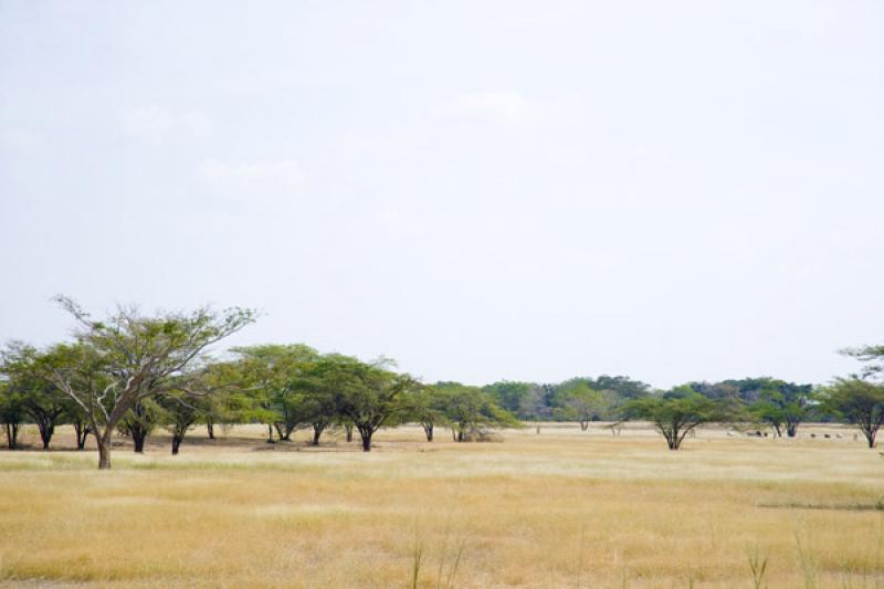 Paisaje de Cesar, Valledupar, Colombia