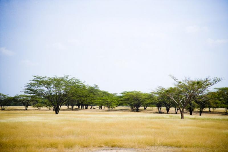 Paisaje de Cesar, Valledupar, Colombia