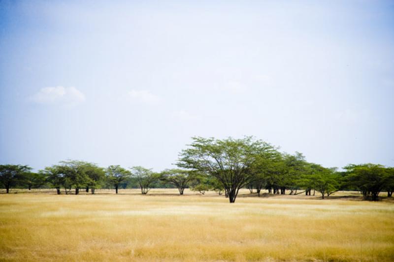 Paisaje de Cesar, Valledupar, Colombia