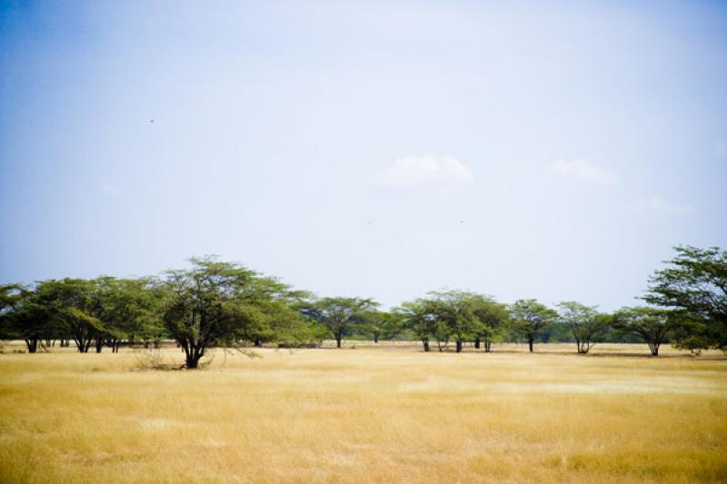 Paisaje de Cesar, Valledupar, Colombia