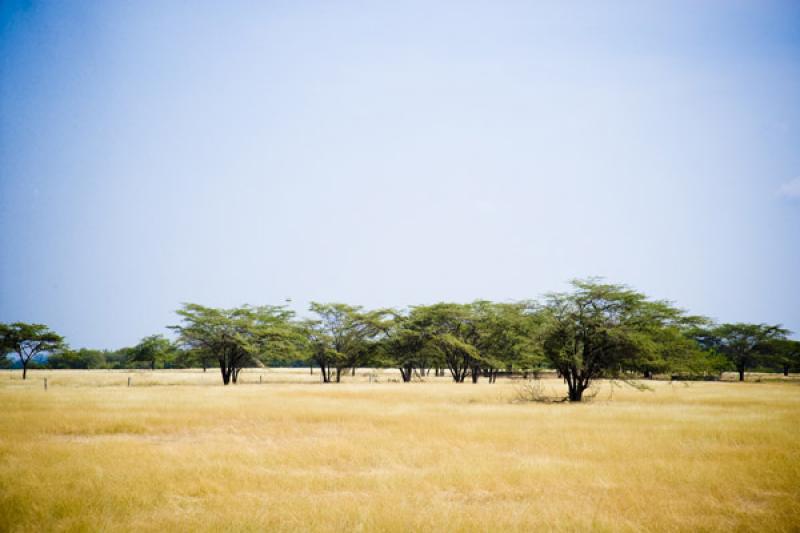 Paisaje de Cesar, Valledupar, Colombia