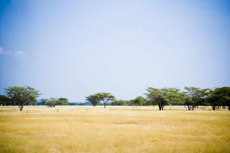 Paisaje de Cesar, Valledupar, Colombia