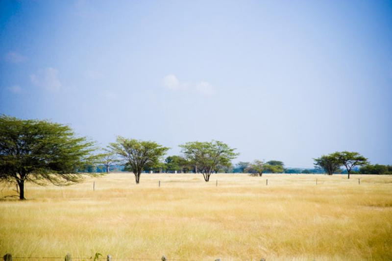 Paisaje de Cesar, Valledupar, Colombia